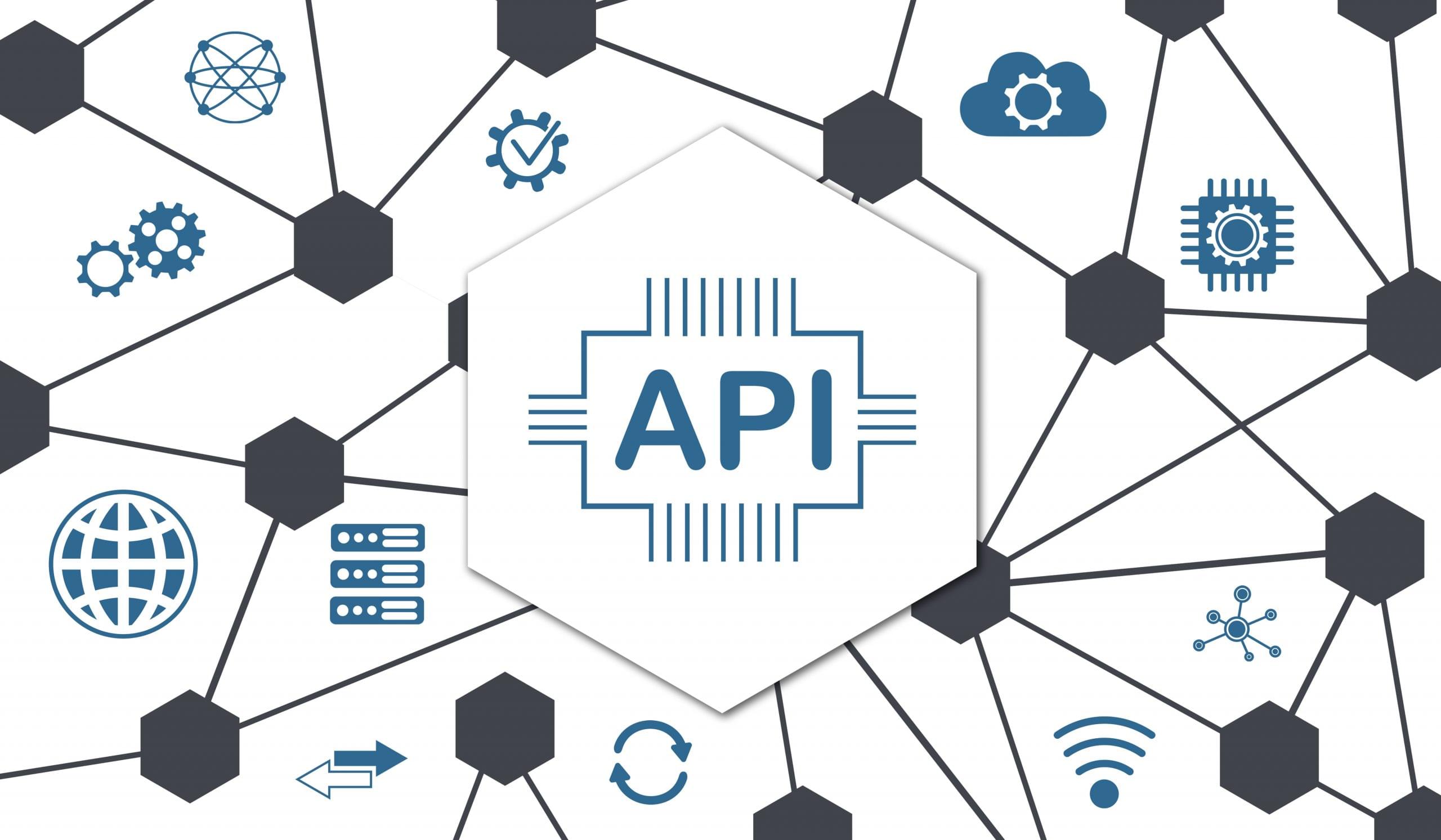 API developer access